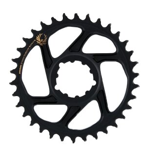 Sram, Eagle Kettenblatt X-Sync2 SL 34 Zahn, 1x12, 3mm Offset, Sw-gold