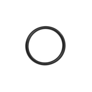 Bosch, O-Ring, Gummiring, Active Line Plus Gen3