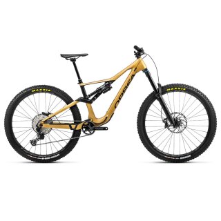 Orbea, Rallon M20, Fox X2 Factory, XT M8120 gold-matt, L