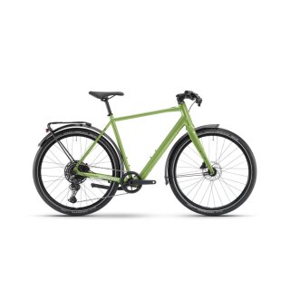 Winora,E-Flitzer, Herren Urban E-Bike, i250Wh, X35, RH 50cm - grün