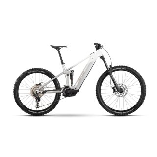 Raymon, Vamok Comp, Bosch CX 120Nm, 800Wh, silber-weiss, L